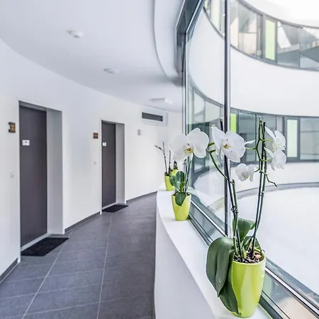 Beautiful In F-8344 W/ Wifi And 1 Bedrooms